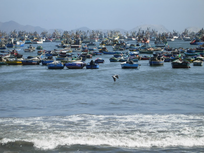 The fishing harbor